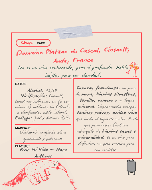 Domaine Plateau du Cascal, Cinsault, Aude, France