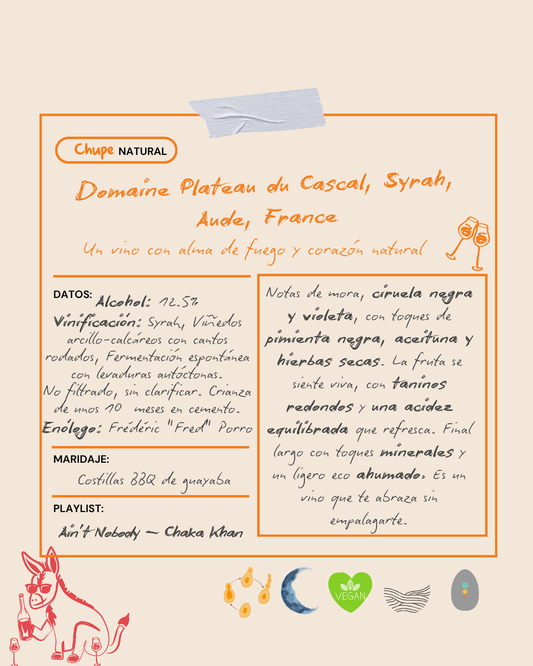 Domaine Plateau du Cascal, Syrah, Aude, France