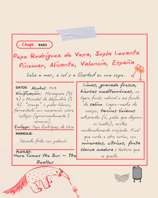 Pepe Rodriguez de Vera, Sopla Levante Pinomar, Alicante, Valencia, España