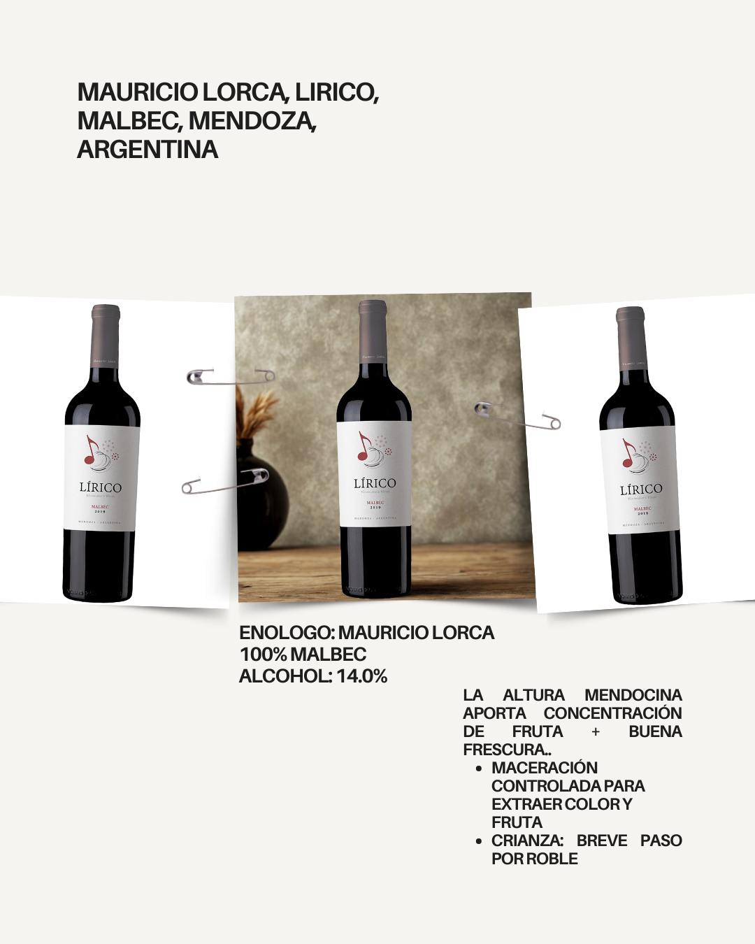 Mauricio lorca, Lirico, Malbec, Mendoza, Argentina