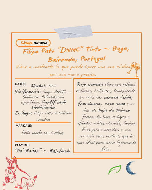 Filipa Pato, DNMC Tinto Baga, Bairrada, Portugal