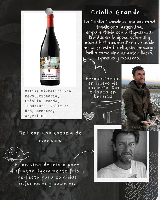 Matías Michelini,Vía Revolucionaria, Criolla Grande, Tupungato, Valle de Uco, Mendoza, Argentina