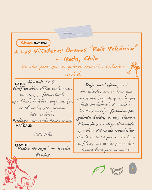 A Los Viñateros Bravos, Pais Volcanico, Itata, Chile