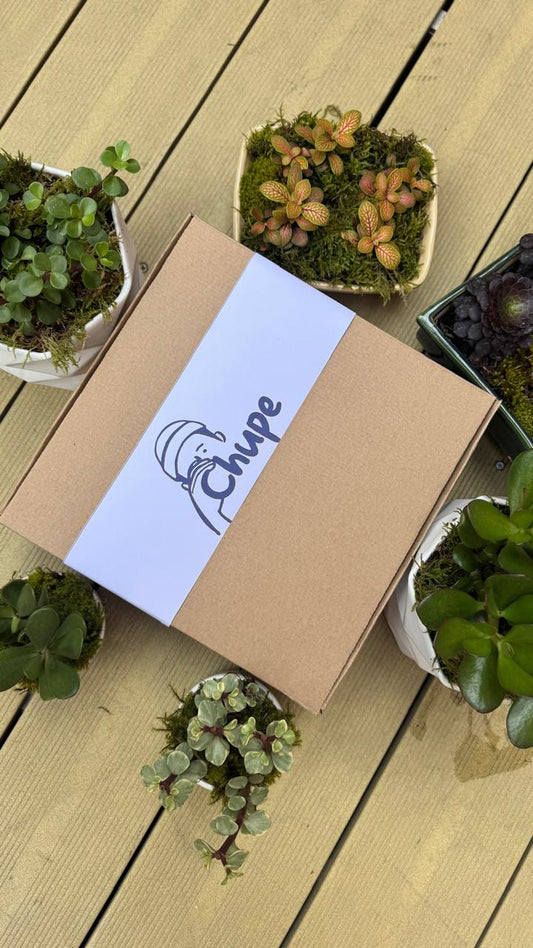 CHUPE PARCHE –  La caja de vino con más onda del mes