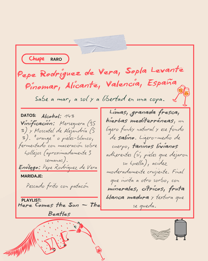 Pepe Rodriguez de Vera, Sopla Levante Pinomar, Alicante, Valencia, España