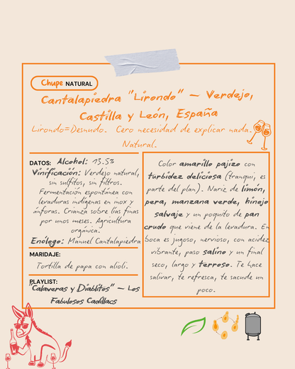 2023 Cantalapiedra, Lirondo Verdejo, Castilla y León, España