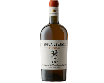 Pepe Rodriguez de Vera, Sopla Levante Pinomar, Alicante, Valencia, España