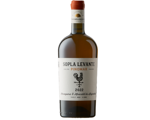 Pepe Rodriguez de Vera, Sopla Levante Pinomar, Alicante, Valencia, España