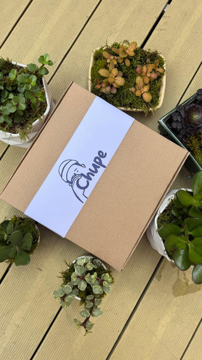 CHUPE PARCHE –  La caja de vino con más onda del mes